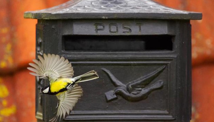 От 1 юли 1879 година България е пълноправен член на Всемирния пощенски съюз. От 1 юли 1879 година България е пълноправен член на Всемирния пощенски съюз.