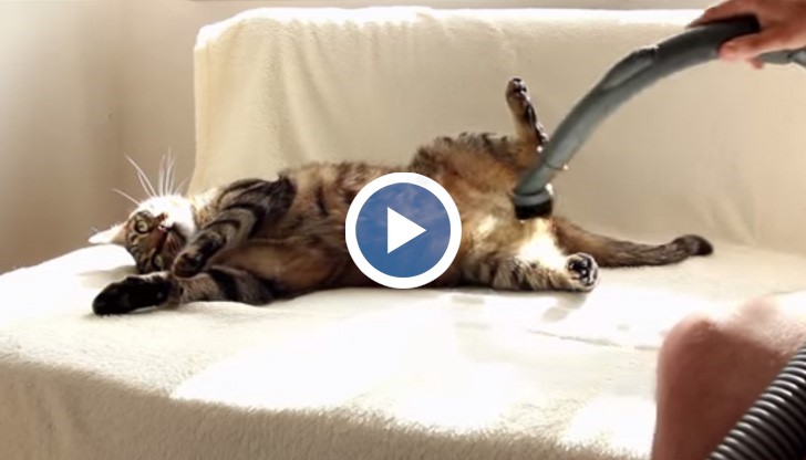 Ей това е животинско поведение, за което нямаме обяснение!