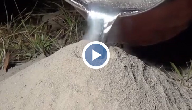 Интересен експеримент, чиито краен резултат ще ви изуми!