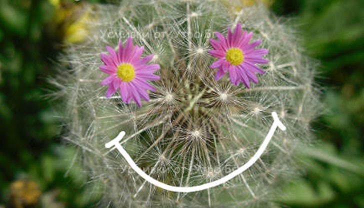 Ученици на АГ „Гео Милев” - Русе ще отбележат Деня на усмивката