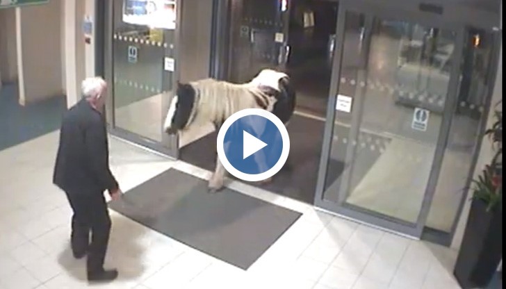 На първо четене звучи като безвкусна шега. Но е истина.