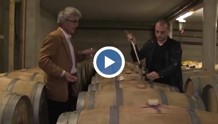 Винарска изба отвори врати край Русе