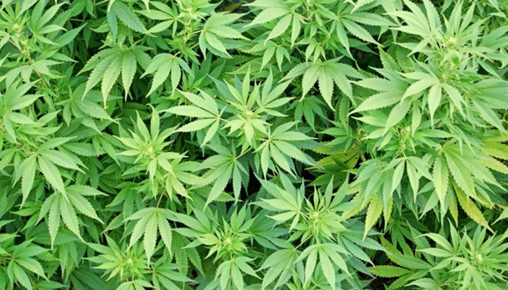 В полза на държавата се отнемат електронната везна на наркодилъра и „стоката“ му.