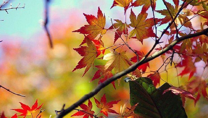 Максималните температури за деня в повечето места ще са от 15° до 20°, в крайните югозападни райони до 22° Максималните температури за деня в повечето места ще са от 15° до 20°, в крайните югозападни райони до 22°