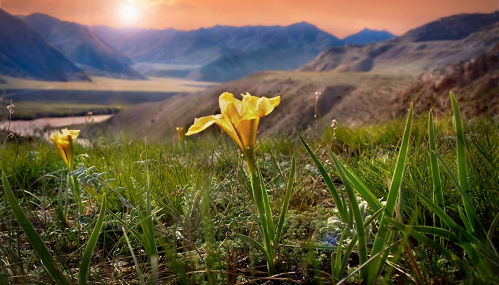 <p>Дори да обиколим света в търсене на красотата, не я ли носим в себе си, не ще я открием.</p>
