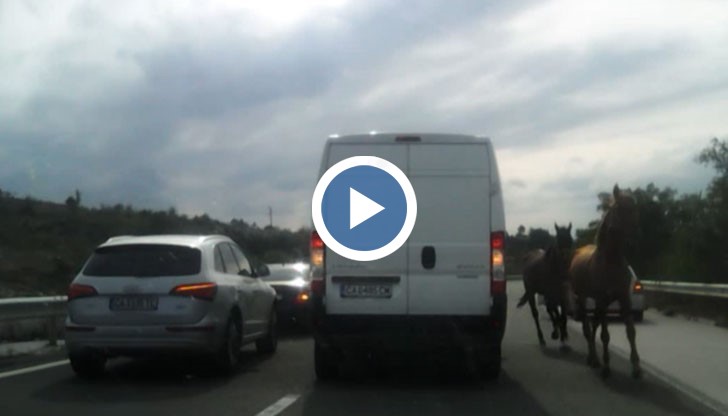 Неделя 05.10.2014. началото на магистрала "Хемус" при гр. Ябланица.