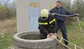 Пожарникари спасиха коте изхвърлено в дълбок кладенец