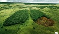 Експерти: Екологията не е приоритет за новия кабинет