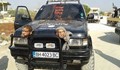 Джихадисти се возят на крадени от България скъпи джипове