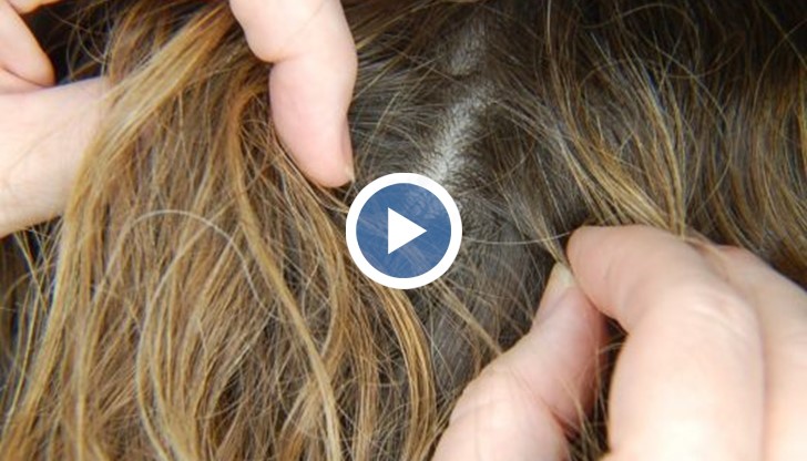 Майки заливат интернет форумите с оплаквания и обменят рецепти срещу напастта