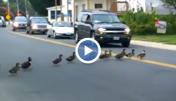 Хората, които са страхотни