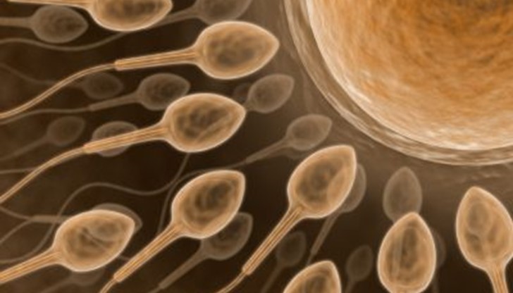 До 2050 г. мъжете и жените ще използват метод за контрол на раждаемостта