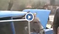 Абсурд! Цигани натикаха магаре в "Лада"!