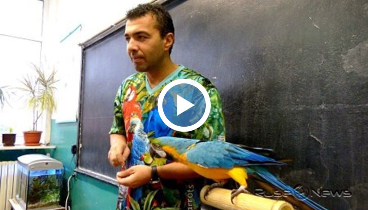 Дресьорът обясни, че папагалите Ара са силни птици и е добре хората да имат респект.