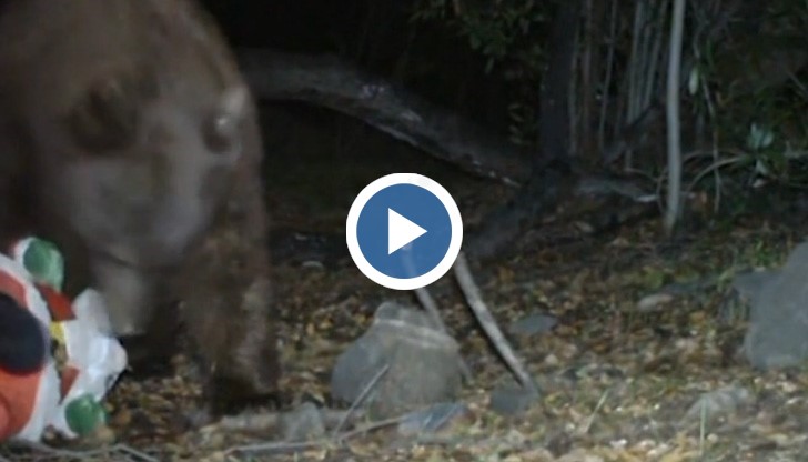 Фотограф от щата Калифорния е заснел необичайно събитие.