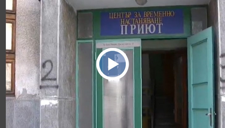 Подобни приюти за бездомни у нас има засега само в няколко града. Какво ли става с останалите?