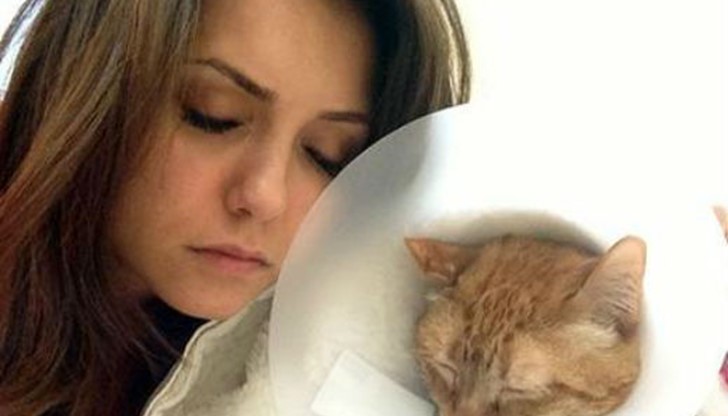 Деца се гаврят сексуално с… котенце Деца се гаврят сексуално с… котенце