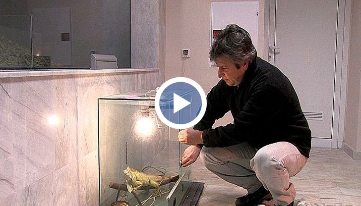 Няколко екзотични животни, подходящи за домашен любимец, търсят своя стопанин, съобщават от Екомузея в Русе.