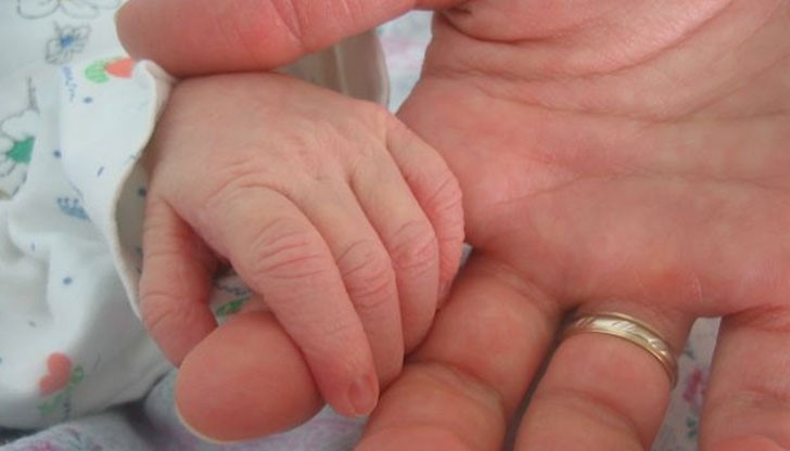 На 22 декември ще бъдат платени над 70 хиляди броя обезщетения