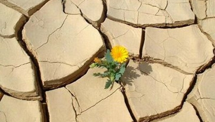 Историите на тези младежи са различни от историите на нашите деца. Историите на тези младежи са различни от историите на нашите деца.