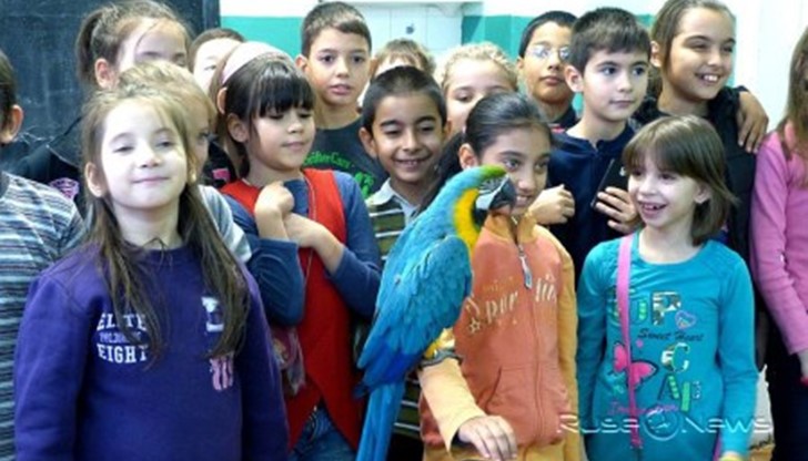 Папагали от видовете качулато какаду и ара бяха гости в час по биология на децата от трети клас на ОУ „Тома Кърджиев“ в Русе.