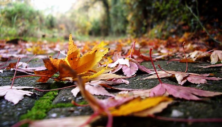 Температурите стигат през деня 11-12 градуса, през уикенда нахлува студен въздух Температурите стигат през деня 11-12 градуса, през уикенда нахлува студен въздух