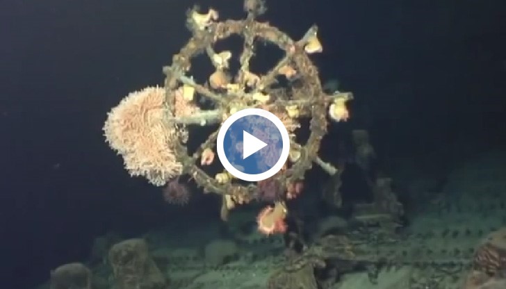 Специалисти от Националното управление по океаноложки и атмосферни изследвания на САЩ са открили кораба „Кайлуа"