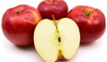 Ябълките са по-вредна от шоколада
