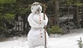Имам от Саудитска Арабия забрани правенето на снежни човеци