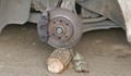 Задигнаха гумите на "Рено" в село Копривец