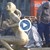 Русенски скулптори ще се опитат да спасят двете статуи на фонтана на площад „Батенберг"