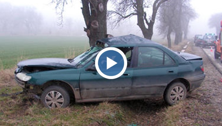 Обсъждат премахването на опасните крайпътни дървета в Русенска област.