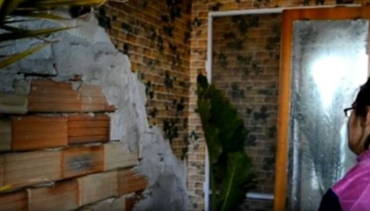 Сливенско семейство посрещна коледните празници с нетипична компания. Сливенско семейство посрещна коледните празници с нетипична компания.