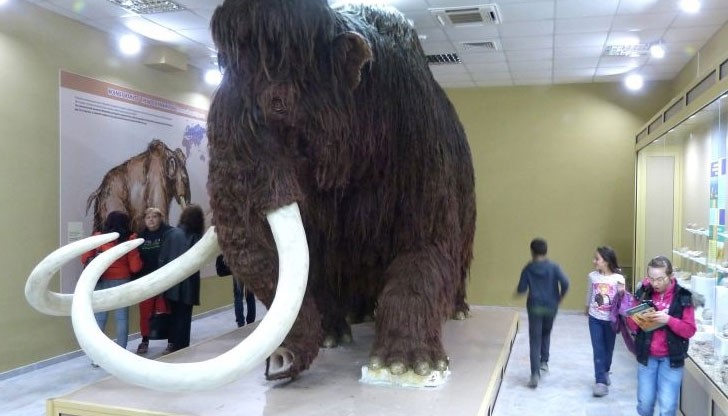 Екомузеят бе открит на 28 септември миналата година Екомузеят бе открит на 28 септември миналата година