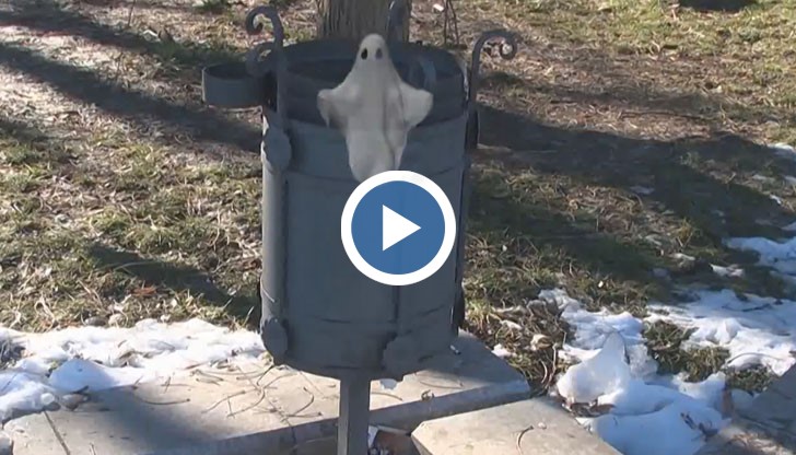 Новата идея за музей на иновациите най-вероятно ще бъде реализирана по дунавската стратегия