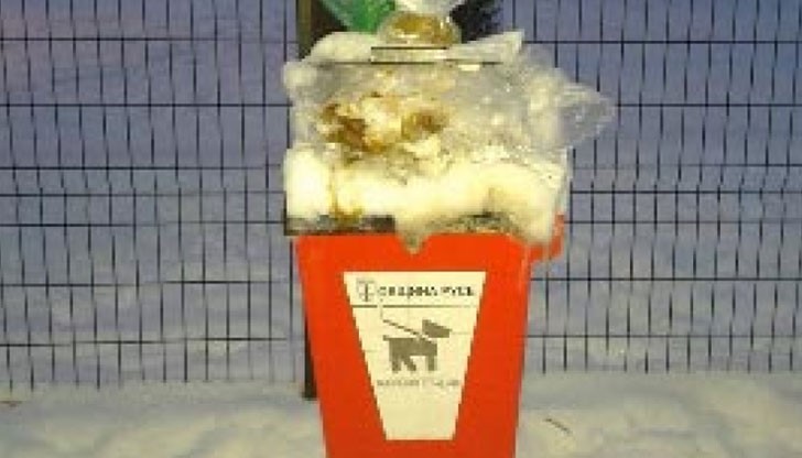 Ето така изглежда кошчето в заграждението Ето така изглежда кошчето в заграждението