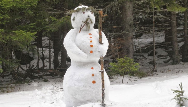 Шейх Мохамед Салех ал-Мунайид: Забранено е да се прави статуя от сняг, дори да е с цел игра и забавление