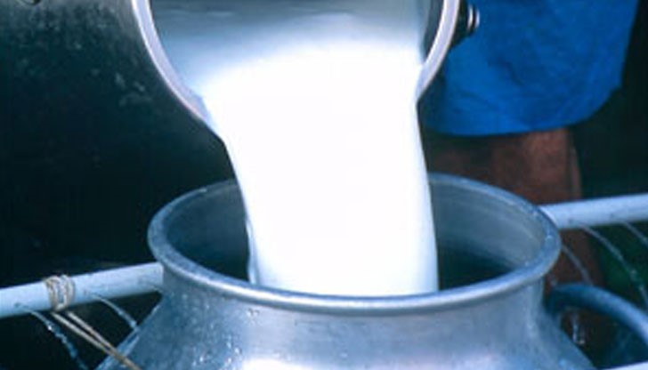 Удар по сектора са и имитиращите продукти, които вместо с мляко са произведени с палмово масло и други заместител