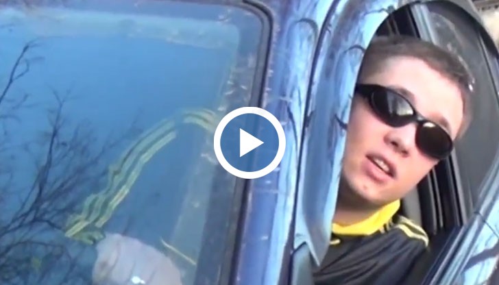 Господ прощава, Стопхам не!