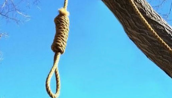 Граничният полицай е бил намерен да виси на дърво край пътя край Ивайловград Граничният полицай е бил намерен да виси на дърво край пътя край Ивайловград