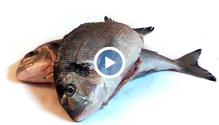 Ако сте щастливец и си имате подобна машина, то за вас чистенето на риба може да става вече много по-лесно.