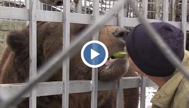 Летище Русе бави замяната в лесопарк Липник
