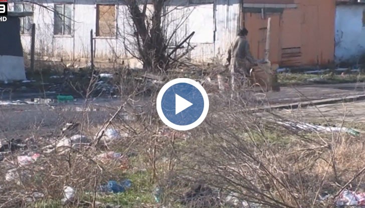 Предвижда се реализиацията на много проекти, насочени към приобщаването на малцинството в българското общество