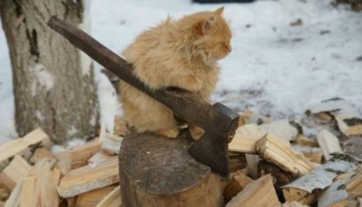 "Да уцелиш момента" не е случайна фраза