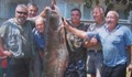 Русенец лови риби чудовища в Дунав