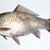 Лекари извадиха 22-сантиметрова риба от влагалището на пловдивчанка