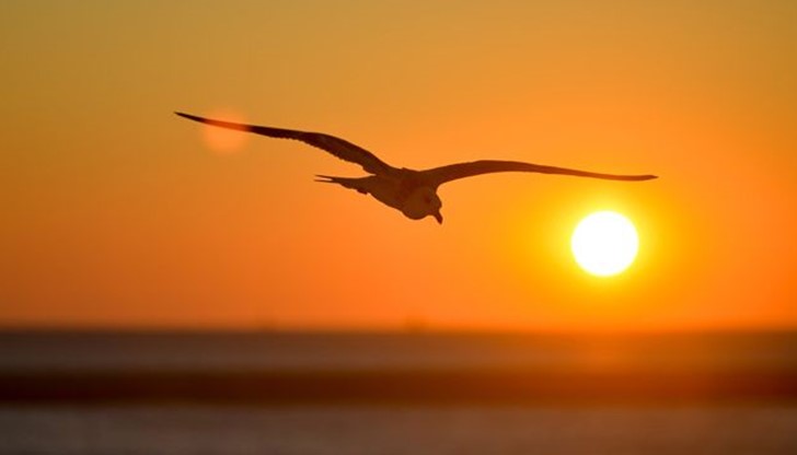 <p>Живял някога един владетел. Той имал четири жени.</p>

<p>&nbsp;</p>

<p>Четвъртата си жена той обичал най-много. Осигурявал й най-доброто, хранел я с отбрани гозби, обличал я с най-скъпите дрехи и задоволявал всичките й прищявки.</p>

<p>&nbsp;</p>

<p>&nbsp;</p>

<p>Другата любимка на царя била третата му жена. Тя била бляскава и самоуверена, а той много се гордеел с нея и полагал много усилия тя да бъде забелязана от другите. Често я показвал на други владетели. Но тя била капризна и непостоянна и той се страхувал, че може да го изостави.</p>

<p>&nbsp;</p>

<p>&nbsp;</p>

<p>Втората жена на владетеля била добра, нежна и търпелива. Той знаел, че винаги може да се опре на нея и да й се довери в трудни времена. Но понякога я пренебрегвал заради първите две и не й отдавал нужното внимание и обич.</p>

<p>&nbsp;</p>

<p>&nbsp;</p>

<p>Първата жена на царя била най-силната и мъдрата от всичките му жени. Тя била тиха и незабележима, но винаги била до него. В трудни моменти тя му давала най-много увереност и кураж, и най-ценните съвети. Тя го обичала силно и безрезервно, но той с години не се сещал за нея. Никога не я питал от какво се нуждае и много рядко полагал грижи за нея.</p>

<p>&nbsp;</p>

<p>&nbsp;</p>

<p>Един ден, царят се разболял тежко и разбрал, че идва краят на живота му. В последния си час той наредил да извикат една по една всичките му жени.</p>

<p>&nbsp;</p>

<p>&nbsp;</p>

<p>Най-напред дошла четвъртата &ndash; неговата най-голяма любимка.<br />
- Обичах те много, повече от всички, грижих се най-много за теб... Знаеш, че умирам. Ще дойдеш ли с мен? &ndash; попитал я той.<br />
- О, това е невъзможно. &ndash; отговорила жената &ndash; съжалявам, но трябва да те изоставя завинаги.</p>

<p>&nbsp;</p>

<p>&nbsp;</p>

<p>Огорчил се царят и повикал третата си жена. И на нея задал същия въпрос. Но получил подобен, дори още по-разочароващ отговор:<br />
- Не, царю, не мога да дойда с теб. Аз ще си намеря нов господар, който да се грижи за мен. Знаеш, че всички искат да ме притежават.</p>

<p>&nbsp;</p>

<p>&nbsp;</p>

<p>Дошъл ред на втората жена.<br />
- Ти беше толкова грижовна и търпелива с мен. Аз умирам и искам да те помоля да дойдеш с мен.<br />
- Мога да дойда с теб само до гроба ти, владетелю мой &ndash; отговорила жената &ndash; Оттам нататък ще трябва да продължиш сам.</p>

<p>&nbsp;</p>

<p>&nbsp;</p>

<p>Царят бил съкрушен. В последния си миг, той осъзнал, че всичките му усилия и грижи за любимите му жени са били напразни.<br />
В този миг се появила първата му жена. И казала тихо:<br />
- Аз ще дойда с теб, любими мой... Ще бъда с теб винаги, където и да отидеш, каквото и да се случва.</p>

<p>&nbsp;</p>

<p>&nbsp;</p>

<p>Царят въздъхнал от облекчение и си помислил: &bdquo;Трябваше да се грижа повече за нея, когато все още можех... Как допуснах да я пренебрегвам за сметка на другите, които сега ме изоставят."</p>

<p>&nbsp;</p>

<p>&nbsp;</p>

<p>Досетихте ли се кои са четирите жени на владетеля и кой е той?</p>

<p>&nbsp;</p>

<p>&nbsp;</p>

<p>Владетелят е човекът.</p>

<p>&nbsp;</p>

<p>Четвъртата жена, за която той се грижи най-усърдно, храни и облича &ndash; това е неговото тяло. Когато умира, човек неминуемо се разделя с тялото си.</p>

<p>Третата жена е богатството, общественото положение, славата и притежанията. Колкото и да ги трупаме и гордеем с тях, в края на живота те отиват при друг.</p>

<p>Втората жена са семейството и приятелите. Понякога пренебрегвани, те са там &ndash; добри и търпеливи. Но те могат да изпратят човек само до гроба му.</p>

<p>А първата жена е човешката душа. Много често забравена, оставена без храна и подкрепа за сметка на всичко останало, тя може да отслабне, да залинее и дори да боледува. Но е винаги с нас. И след смъртта.</p>

<p>Грижете се за душата си. Не я пренебрегвайте за сметка на ненужни и маловажни неща. Направете я силна и я пазете чиста. Тя е вашият най-силен и верен стожер, най-безценният дар, който ще ви придружава във вечността.</p>
