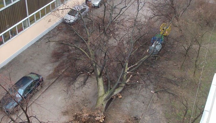 Ватърът в Русе достигна 50 км./ч. или 14 м./с