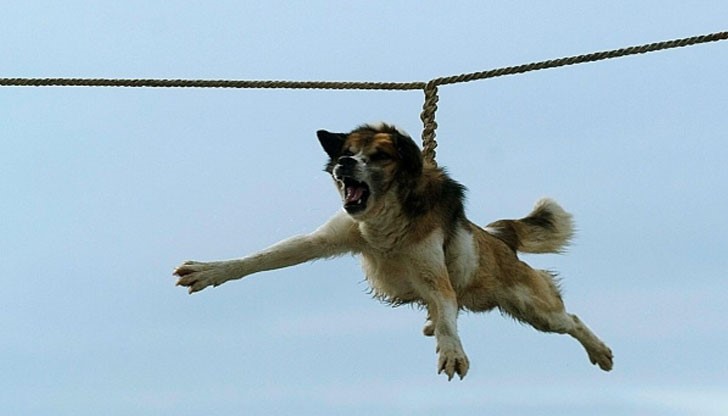 Жителите на странджанското село ще извършат тайно варварския обичай „тричане“ Жителите на странджанското село ще извършат тайно варварския обичай „тричане“