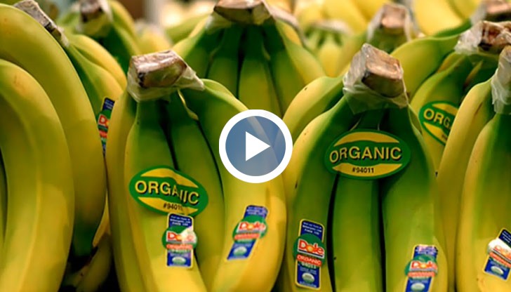 Трират бананите със смъртоносен пестицид
